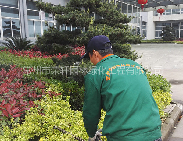 溧陽(yáng)中興西田養(yǎng)護(hù)