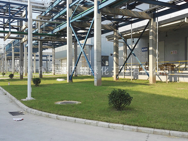 籽播種植的草坪