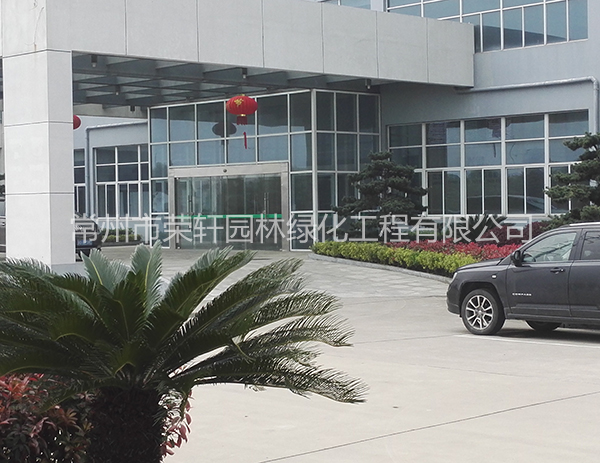 溧陽中興西田養(yǎng)護(hù)