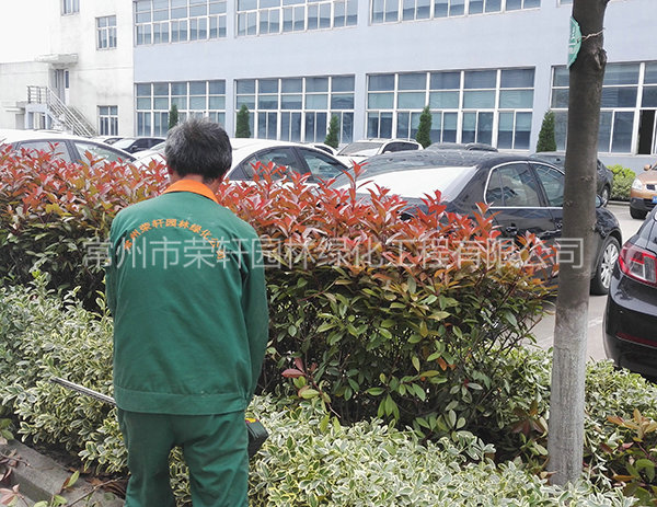 溧陽中興西田養(yǎng)護(hù)