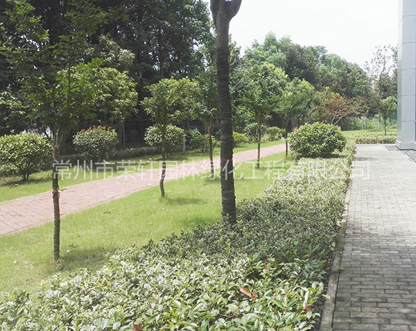 愛(ài)科（常州）機(jī)械養(yǎng)護(hù)