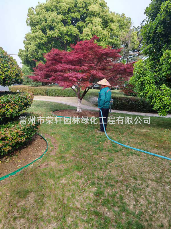 國(guó)茂減速機(jī)集團(tuán)有限公司