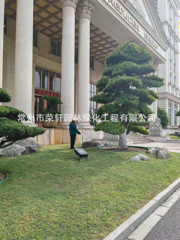 國(guó)茂減速機(jī)集團(tuán)有限公司